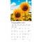 Plato; Sunflowers | 2027 7 x 14 Inch (Hanging) Monthly Mini Wall Calendar | Foil Stamped Cover; Category:Wall Calendars; Image:5